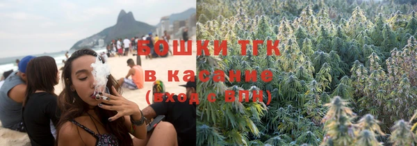 ПСИЛОЦИБИНОВЫЕ ГРИБЫ Арсеньев