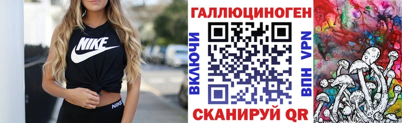 ссылка на мегу зеркало  Баксан  Псилоцибиновые грибы GOLDEN TEACHER 